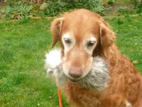 Gennas 11ter Geburtstag